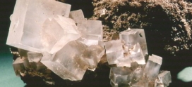 Białe złoto – drogocenny minerał
